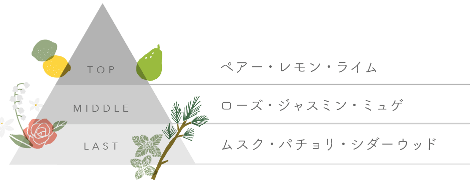 TOP:ペアー・レモン・ライム MIDDLE:ローズ・ジャスミン・ミュゲ LAST:ムスク・パチョリ・シダーウッド