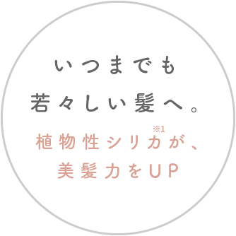 いつまでも若々しい髪へ。植物性シリカが、美髪力をUP